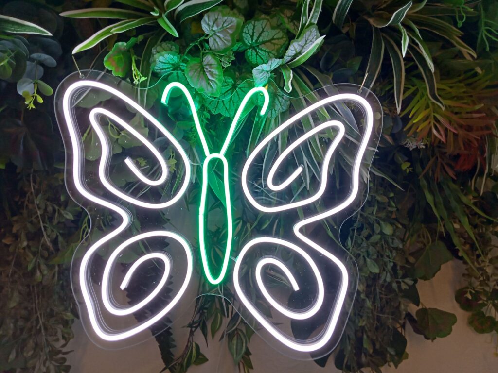 neonled çalışmaları neon levi istanbul muğla (15)