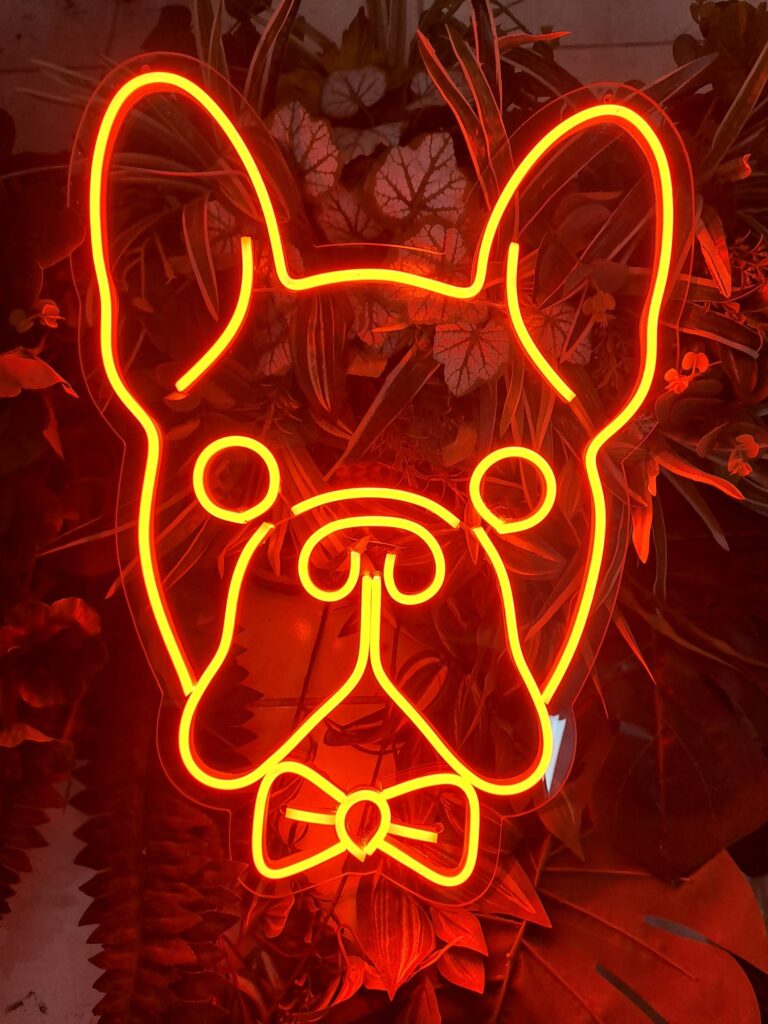 neonled çalışmaları neon levi istanbul muğla (16)