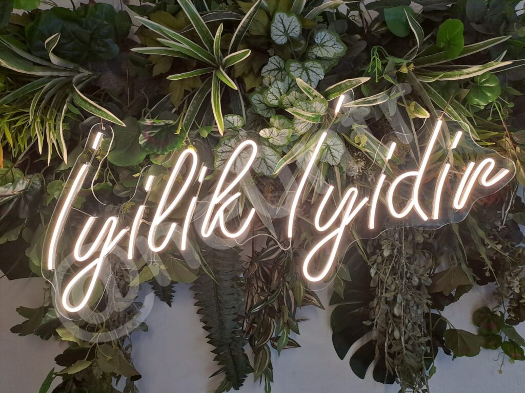 neonled çalışmaları neon levi istanbul muğla (24)