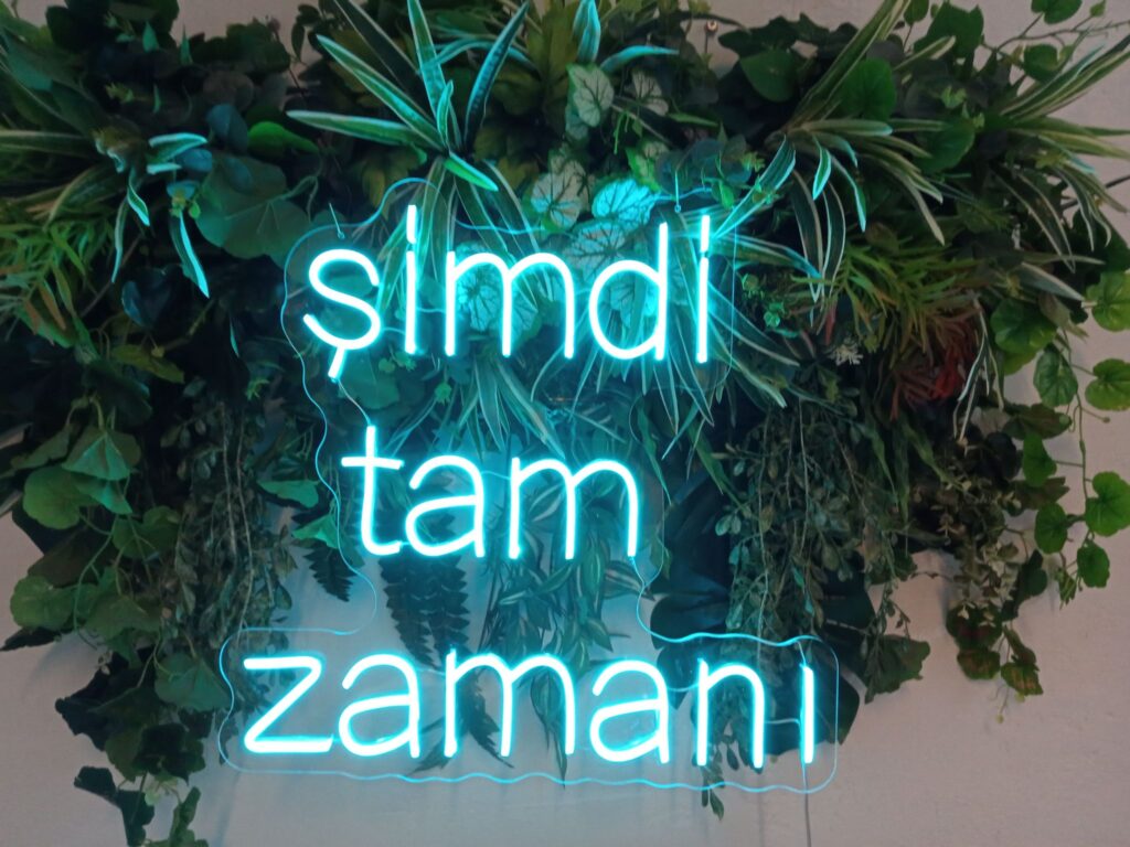 neonled çalışmaları neon levi istanbul muğla (32)