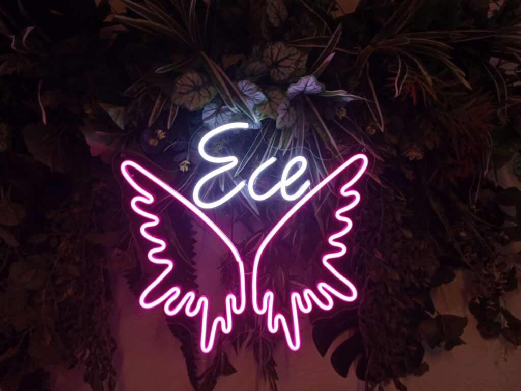 neonled çalışmaları neon levi istanbul muğla (76)