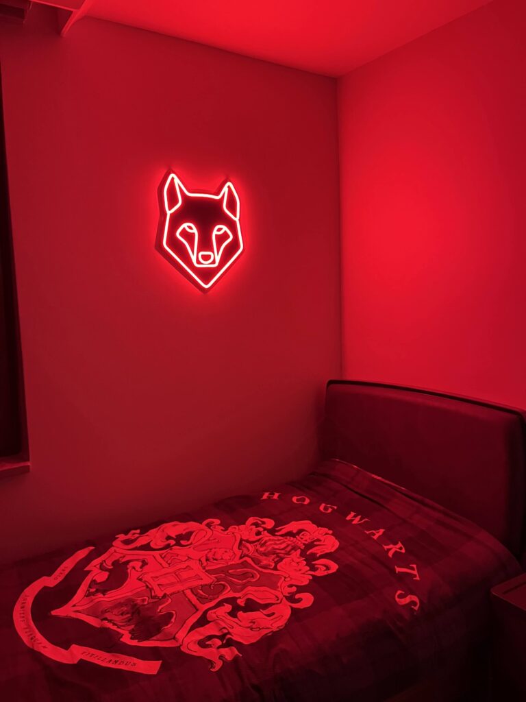 neonled çalışmaları neon levi istanbul muğla (95)