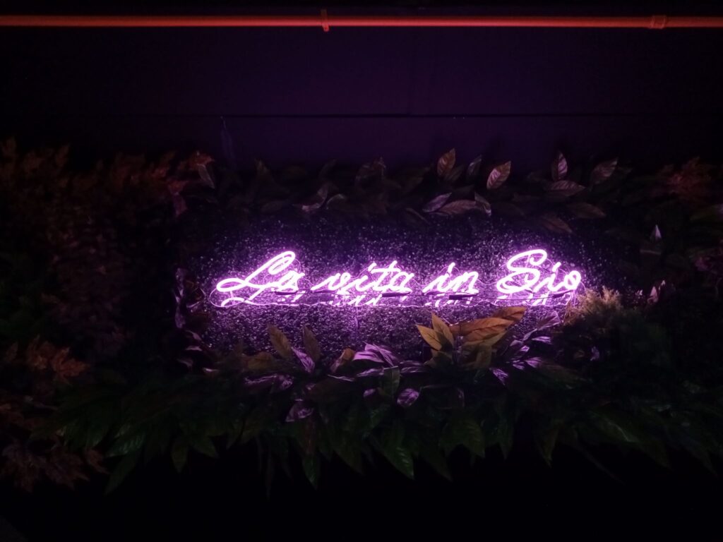 neon tabela modelleri neon levi reklamcılık (5)
